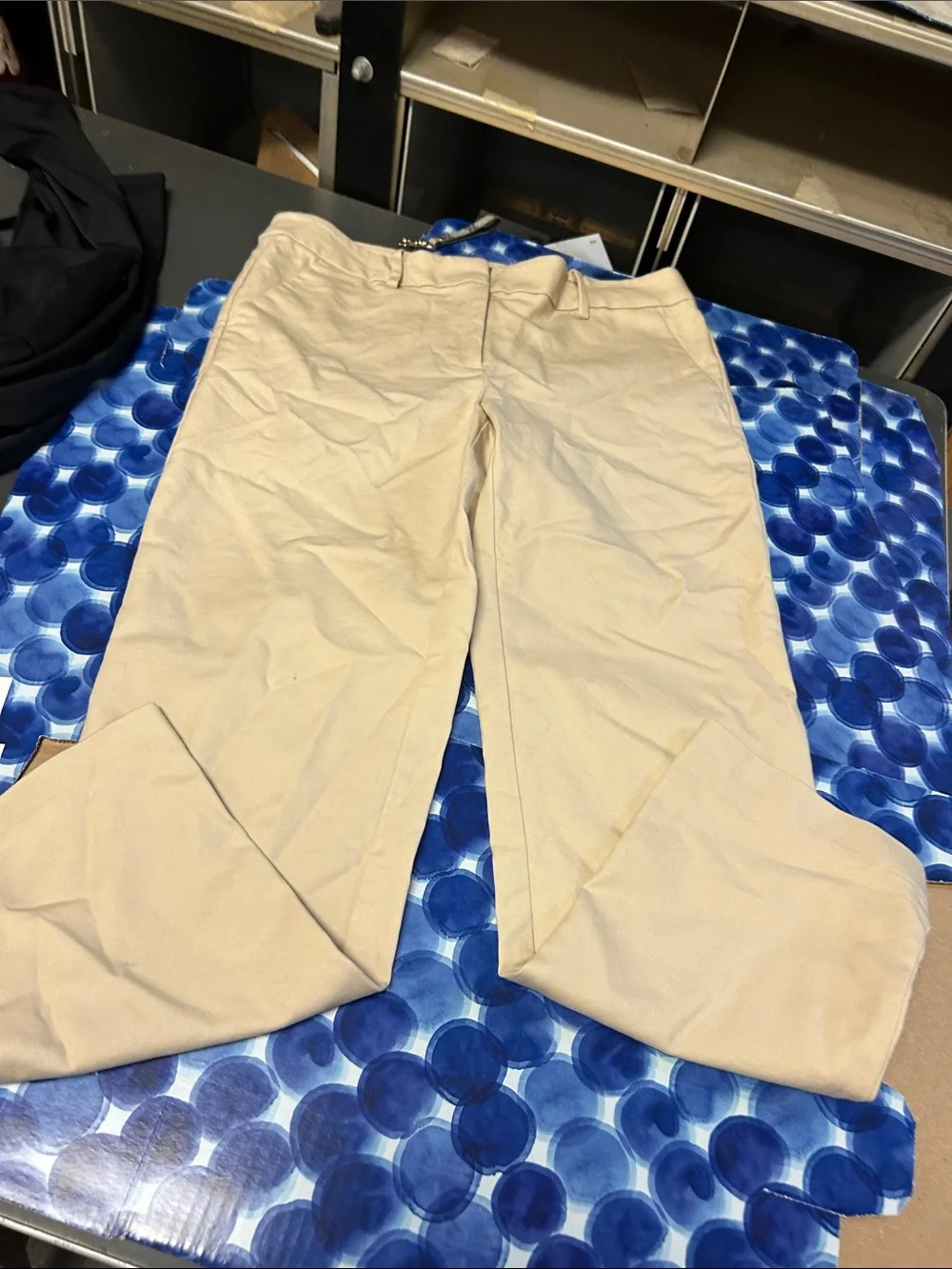 Women’s loft tapered dress pants in Beige